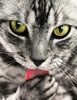 2020 Planner Weekly & Monthly With Inspirational Bible Quotes: Jan 1, 2020 to Dec 31, 2020 Monthly/Weekly Goal Setting, Weekly Review; Daily Schedule, To Do List, Habit Tracker, Menu Gray Cat Cover Gi 1676487972 Book Cover