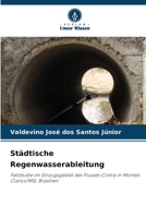 Städtische Regenwasserableitung (German Edition) 6209589421 Book Cover