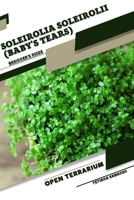 Soleirolia soleirolii (Baby's Tears): Open terrarium, Beginner's Guide B0CDYNR4C3 Book Cover