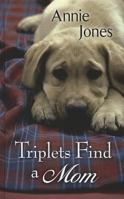 Triplets Find a Mom 0373877293 Book Cover