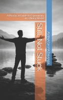 Still, Not Stuck: A Practical Guide to Equanimity in a Noisy World B0GJPX8HPS Book Cover