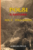 POLSI - IL SANTUARIO - NON E' COSA NOSTRA B08W7JNTRH Book Cover