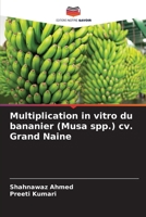 Multiplication in vitro du bananier (Musa spp.) cv. Grand Naine 6208857503 Book Cover