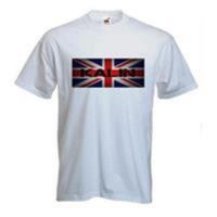 Genetically Engineered Protein Nanomaterials 9811048932 Book Cover