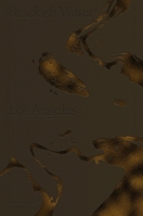Brackish Water Los Angeles B0GY5F59QL Book Cover