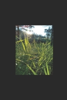 Lilies in the Weeds: A journey from heartbreak to new love B08SJ1H7C7 Book Cover