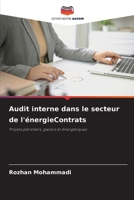 Audit interne dans le secteur de l'énergieContrats (French Edition) 6202373369 Book Cover
