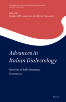 Advances in Italian Dialectology : Sketches of Italo-Romance Grammars 9004354387 Book Cover