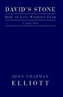 David's Stone - How to Live Without Fear 1401060501 Book Cover