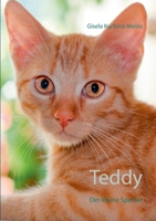 Teddy: Der kleine Spanier 3752689978 Book Cover