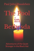 The Pool in Bethesda: Adventures of the Quiet Stranger in the Black Hat 0998630055 Book Cover
