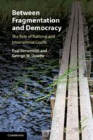 Between Fragmentation and Democracy: The Role of National and International Courts 1108403395 Book Cover