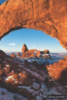 Agenda anual 2020: Agenda anual para 2020, 12 meses, agenda de 52 semanas  con tareas y metas; formato práctico 6x9; motivo: Gesteinbogen (Spanish Edition) 1698508166 Book Cover