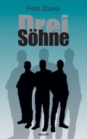 Drei Söhne (German Edition) 3711603025 Book Cover