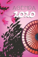 agenda 2020 (French Edition) 1699881944 Book Cover