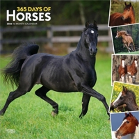 365 Days of Horses 2026 12 X 24 Inch (Hanging) Monthly Square Wall Calendar Plastic-Free B0DYLFBKQ7 Book Cover