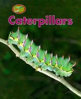 Caterpillars 0613163338 Book Cover