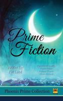 Prime Fiction 1947945238 Book Cover