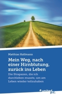 Mein Weg, nach einer Hirnblutung, zurück ins Leben: Die Strapazen, die ich durchleben musste, um am Leben wieder teilzuhaben (German Edition) 3710354404 Book Cover