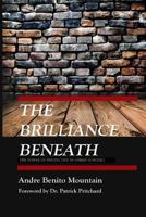 The Brilliance Beneath: The Power of Perspective in Urban Schools 153063993X Book Cover