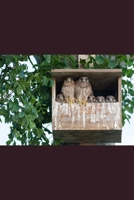 El Humor Como Estrategia: Guía práctica para mejorar la productividad en organizaciones innovadoras B08M255TCG Book Cover