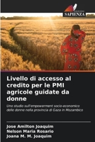 Livello di accesso al credito per le PMI agricole guidate da donne: Uno studio sull'empowerment socio-economico delle donne nella provincia di Gaza in Mozambico (Italian Edition) 6207629639 Book Cover