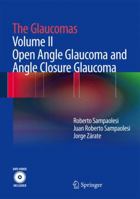 The Glaucomas: Volume II - Open Angle Glaucoma and Angle Closure Glaucoma 3642354998 Book Cover