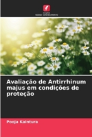 Avaliação de Antirrhinum majus em condições de proteção (Portuguese Edition) 6208316642 Book Cover