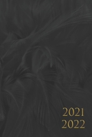 2021 2022: AGENDA semainier, 1 semaine sur deux pages , de Juin 2021 à Juin 2022 , Format (15,24 * 22,86 cm) couleur : noir plumes B095PPSC7C Book Cover