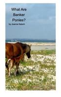 What Are Banker Ponies? 1364249685 Book Cover