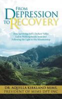 From Depression to Recovery: How Surviving Hell's Darkest Valley Led to Walking Beside Jesus and Following the Light to His Mountaintop 1449726534 Book Cover