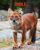 Dhole: Amazing Photos & Fun Facts Book About Dhole For Kids B095V8WZ36 Book Cover