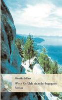 Wenn Gefühle einander begegnen 3833433574 Book Cover