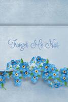 Forget Me Not: Password Book With Tabs to Protect Your Usernames, Passwords and Other Internet Login Information Flower Design 6 x 9 inches 1093617926 Book Cover