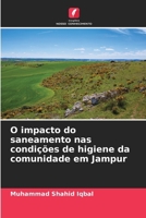 O impacto do saneamento nas condições de higiene da comunidade em Jampur (Portuguese Edition) 6208226910 Book Cover