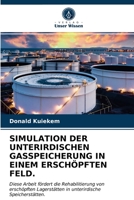 Simulation Der Unterirdischen Gasspeicherung in Einem Erschöpften Feld. 6203634158 Book Cover