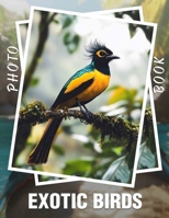 Exotic Birds Photo Book: Explore Vibrant Feathers and Unique Species Through 40 Stunning Images B0DPXL2DQM Book Cover