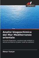 Analisi biogeochimica del Mar Mediterraneo orientale (Italian Edition) 6208410967 Book Cover