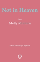 Not in Heaven 1905002548 Book Cover