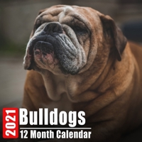 Calendar 2021 Bulldogs: Cute Bulldog Photos Monthly Mini Calendar With Inspirational Quotes each Month B08DC5VSQ1 Book Cover