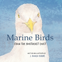 Marine Birds: from the Northeast Coast 1734153210 Book Cover