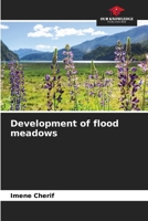 Development of flood meadows 6208366720 Book Cover