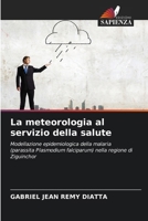 La meteorologia al servizio della salute (Italian Edition) 6208208807 Book Cover