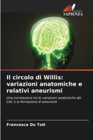 Il circolo di Willis: variazioni anatomiche e relativi aneurismi (Italian Edition) 620713818X Book Cover