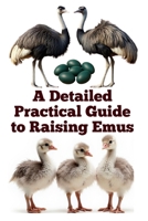 A Detailed Practical Guide to Raising Emus (The Detailed Homestead Flock Series) B0FKSDLZBB Book Cover