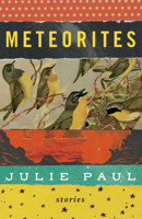 Meteorites: Stories 1927366828 Book Cover