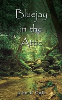 Bluejay in the Attic B0CSKL9PPN Book Cover