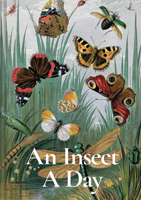 An Insect a Day 1849947945 Book Cover