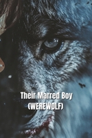 Three Wolves (WEREWOLF) B0DSJNXLYW Book Cover