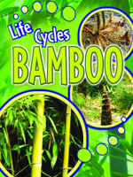 Bamboo 1615905456 Book Cover